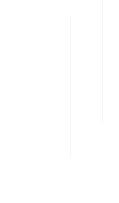 多種類の料理を最後まで楽しめる一軒完結のバル